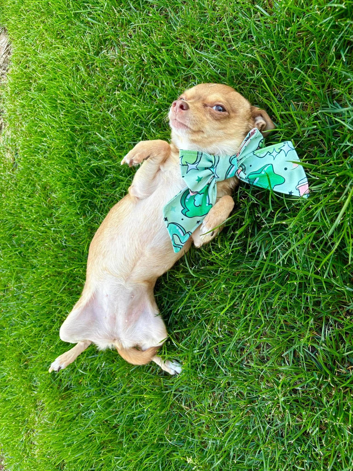 Orion Pet Bandana Bundle PDF
