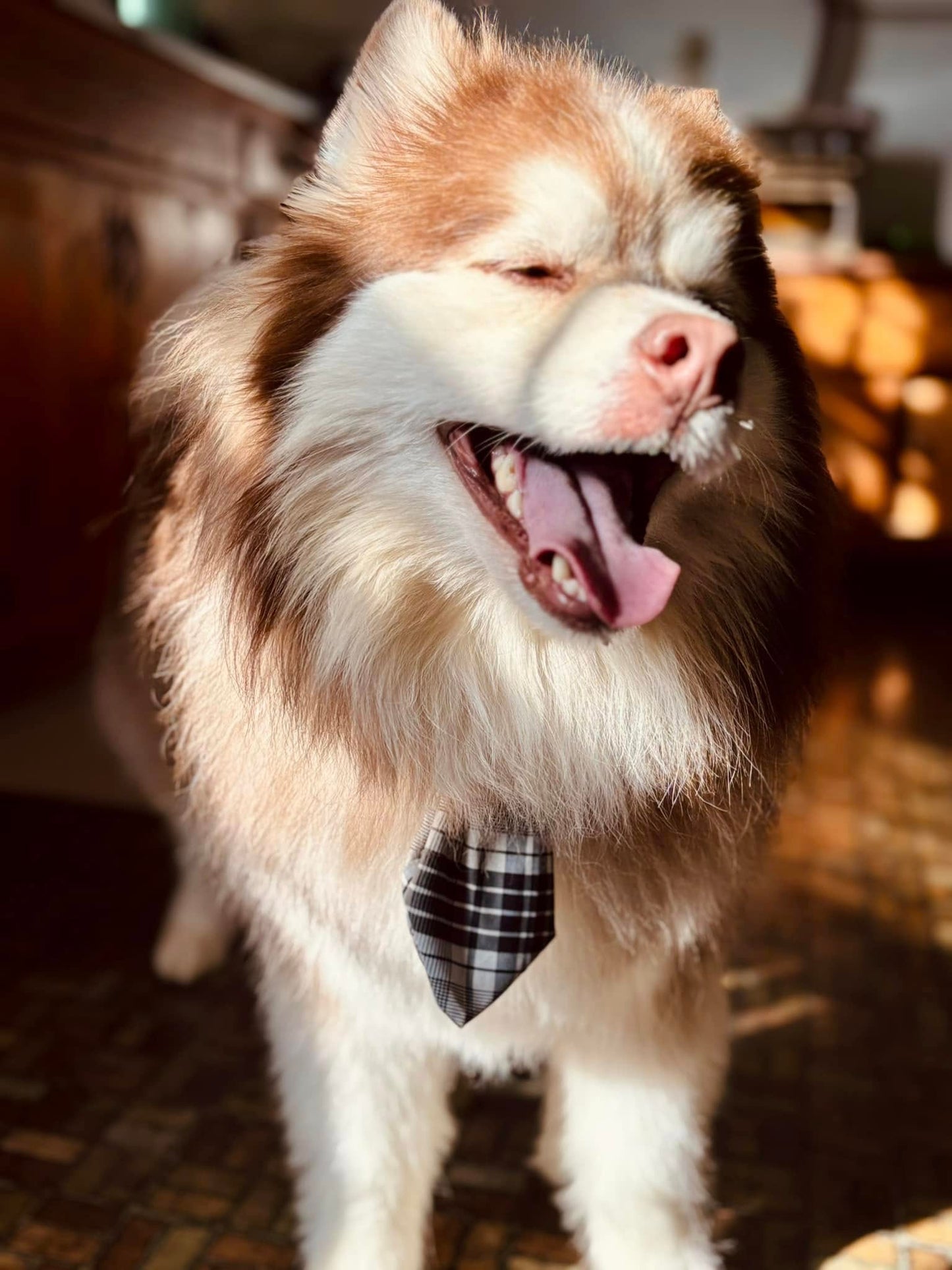 Orion Pet Bandana Bundle PDF