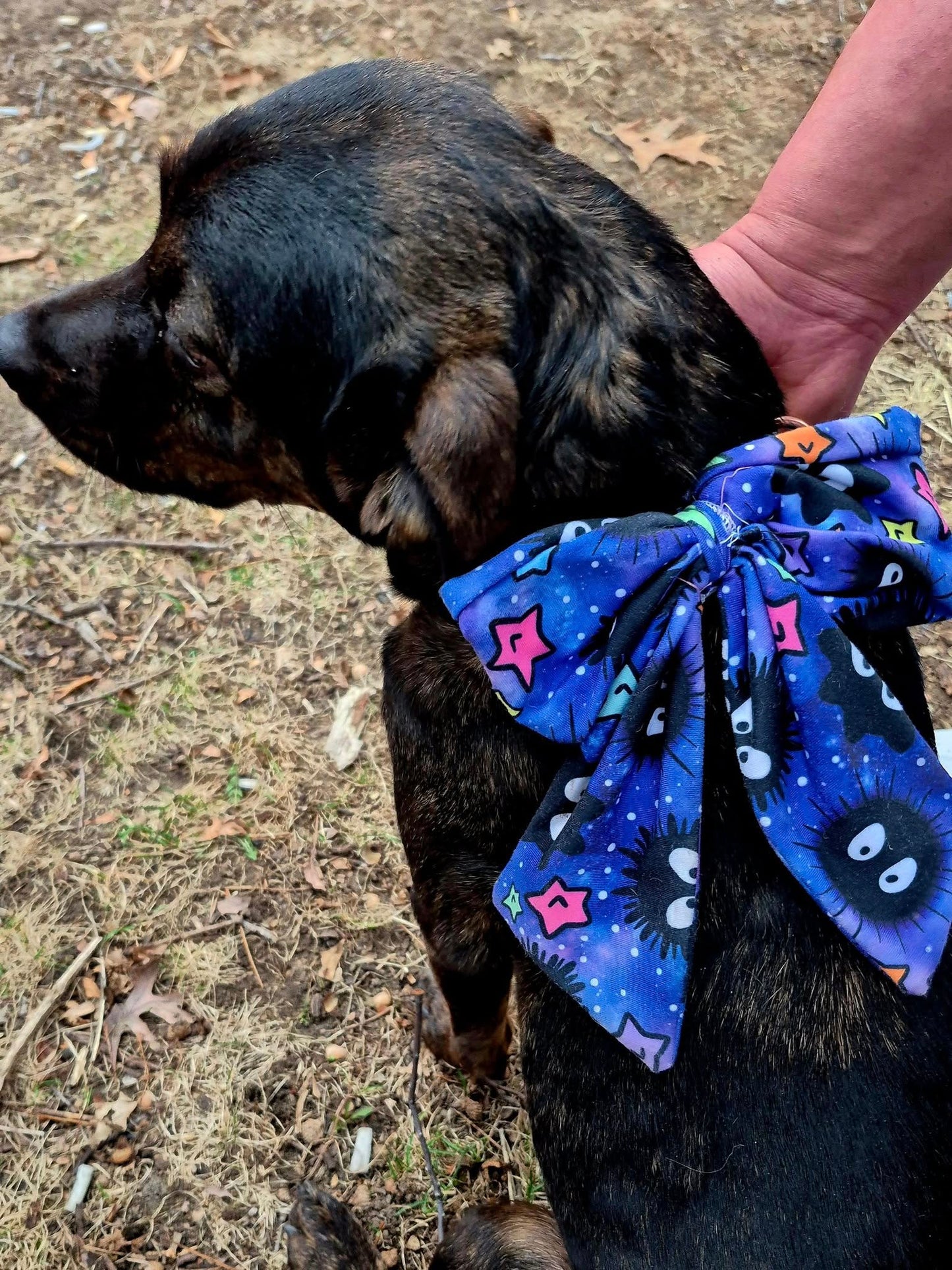 Orion Pet Bandana Bundle PDF