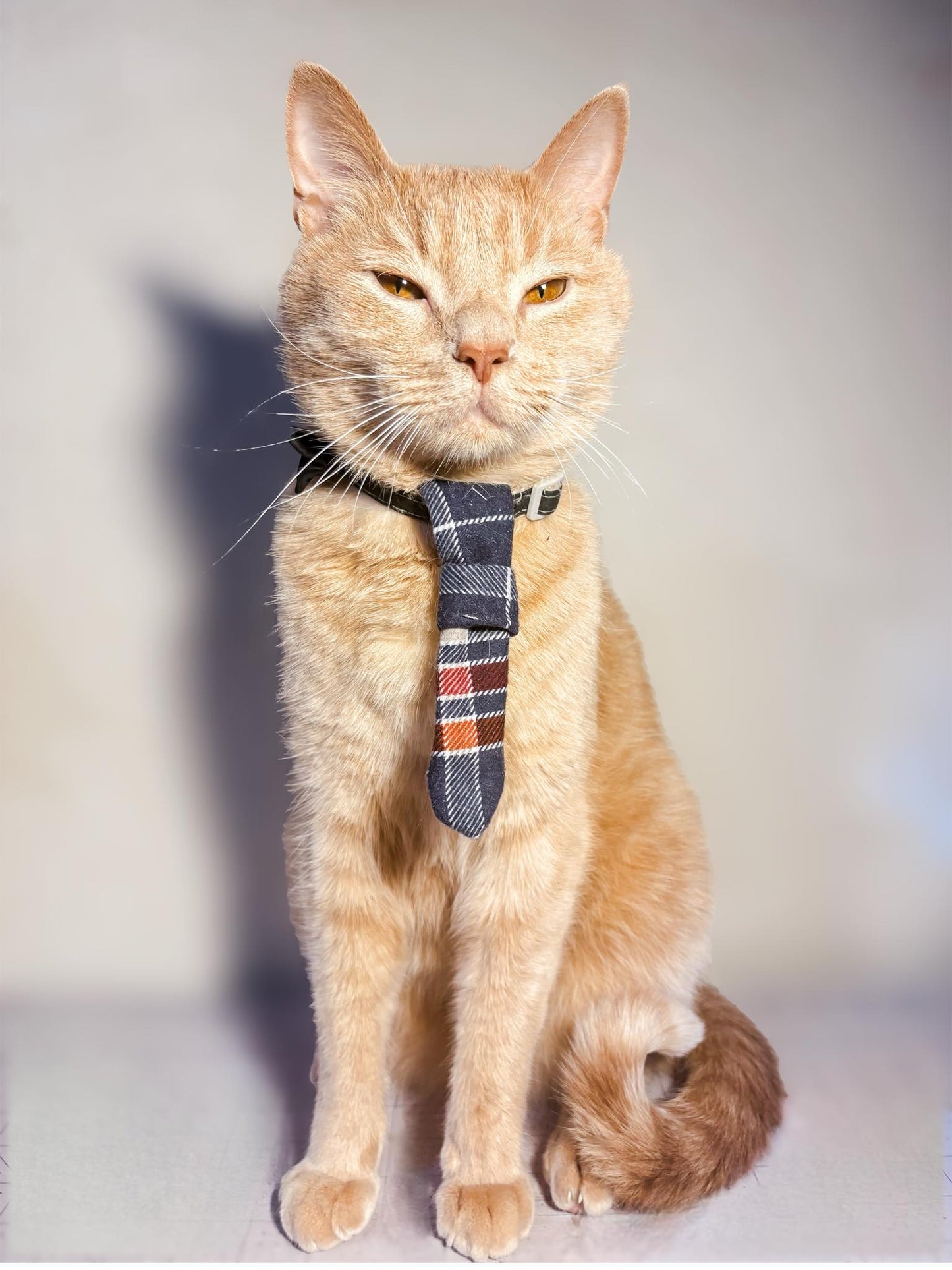 Orion Pet Bandana Bundle PDF