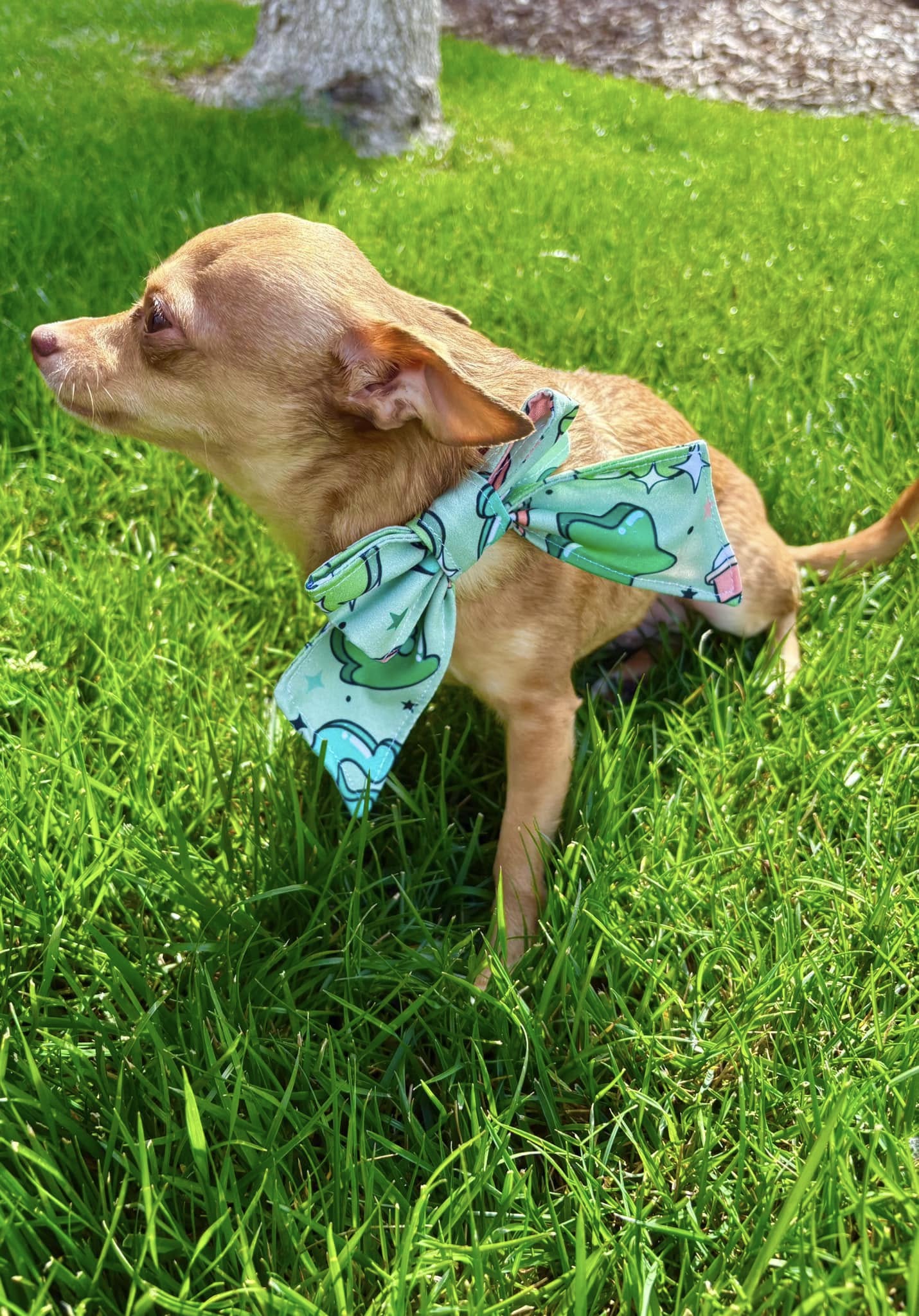 Orion Pet Bandana Bundle PDF