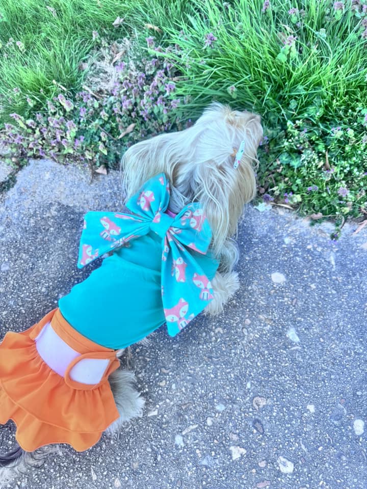 Orion Pet Bandana Bundle PDF