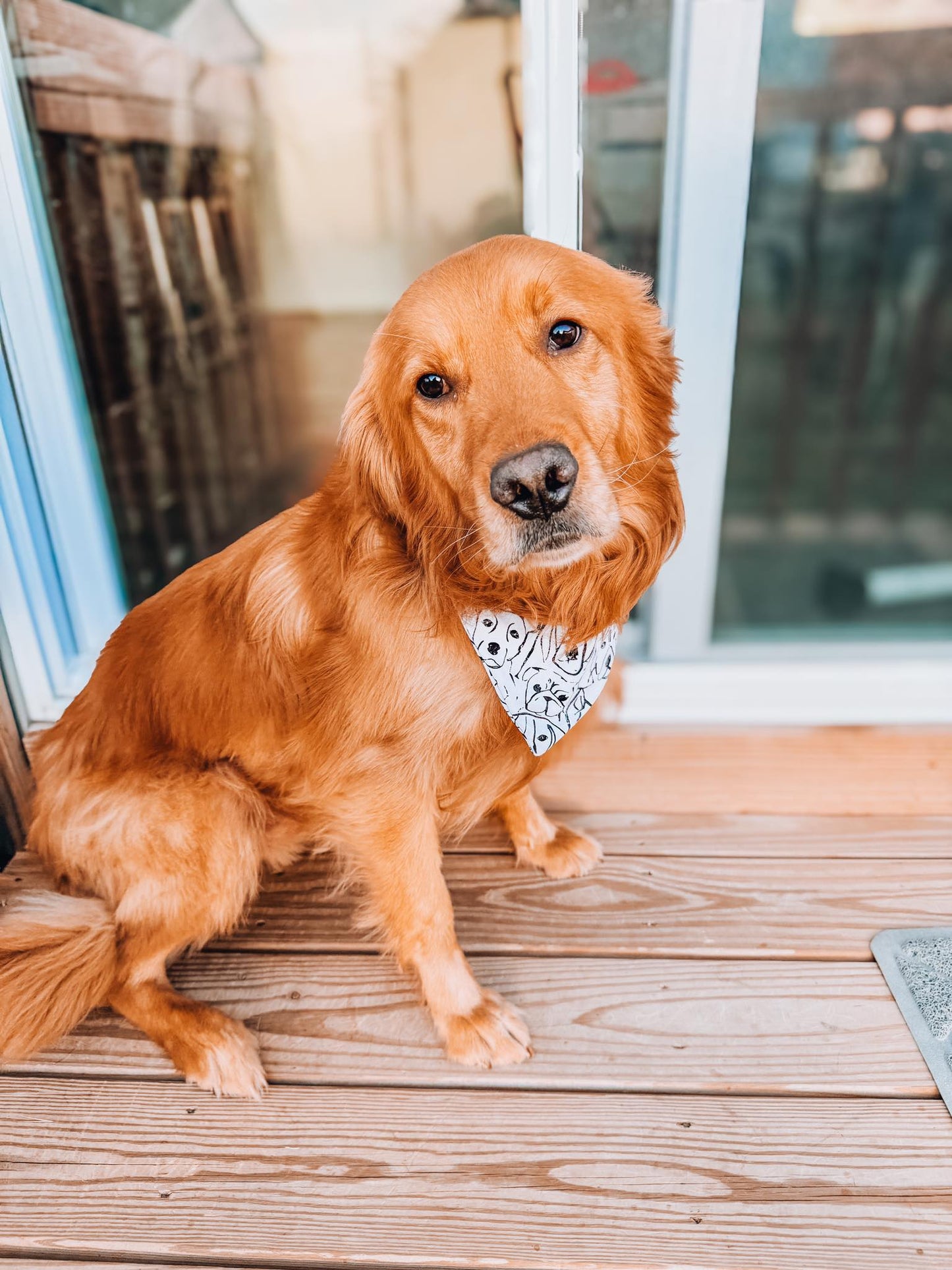 Orion Pet Bandana Bundle PDF