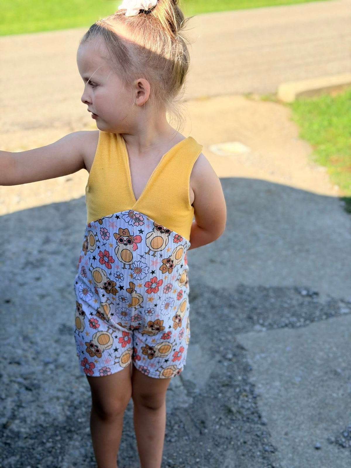 Baby & Youth Alexa Romper Bundle PDF